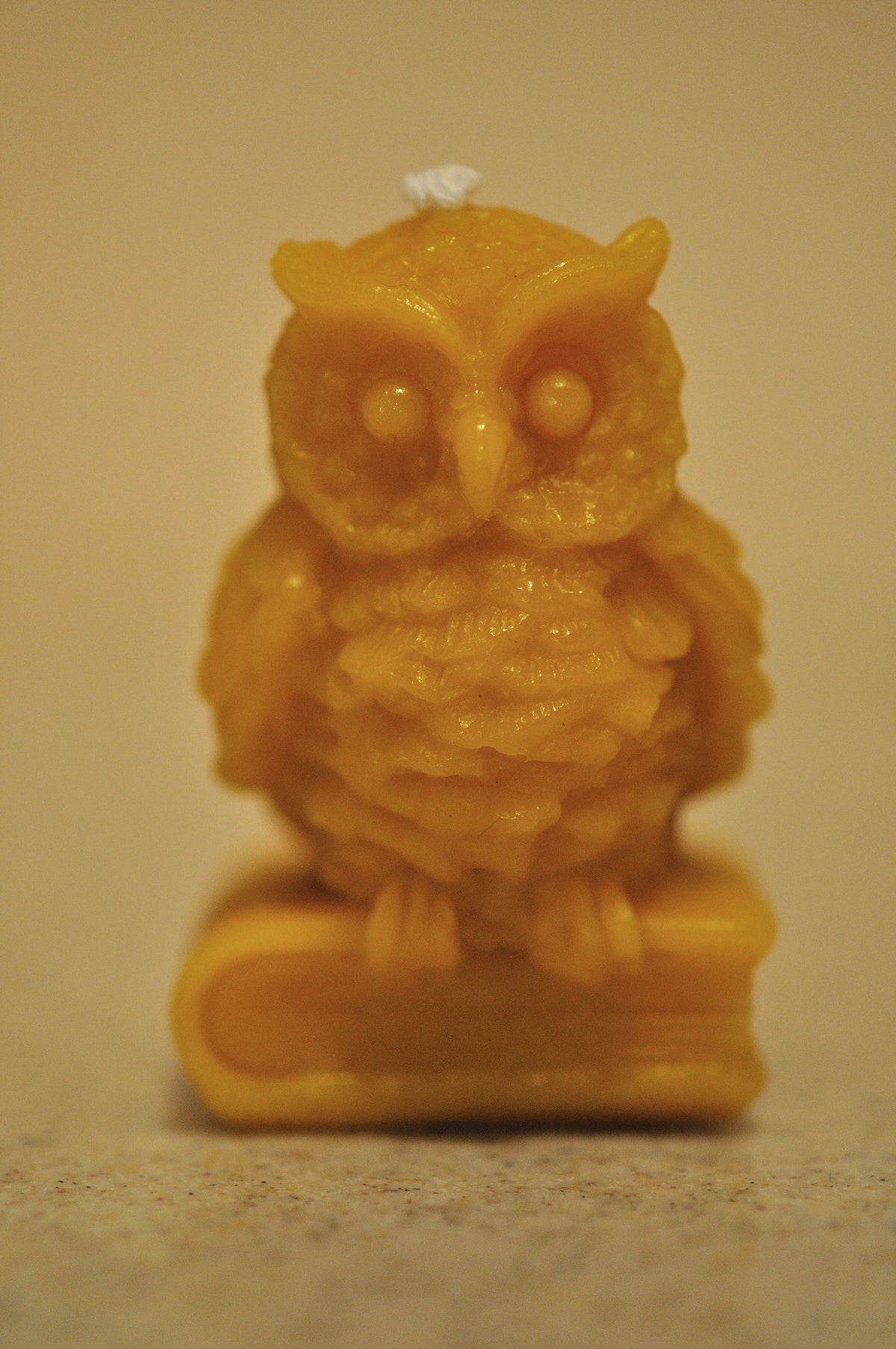 Owl_1_1200x1807.jpg?v=1546005279